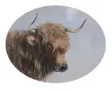 Highland cows Gouache, oval, a pair Each signed with initials lower centre 14 x 17.5cm (5½ x 6¾ in.) (2) by George Henry Boughton, Gouache, oval, a pair Each signed with initials lower centre, offered Apr 2019