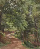 A woodland pathway Watercolour and bodycolour 39.5 x 32cm (15½ x 12½ in.) Provenance: Property of the artist's family Thence by descent by William Henry Millais, Watercolour and bodycolour, sold Apr 2019