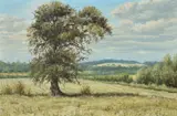 Summer Oak Oil on artist's board Signed and dated 1974 lower right by Mervyn Goode, 1974, Oil on artist's board, sold Dec 2018