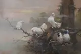 Fantail doves roosting on a bough Oil on board Signed and dated 87 lower right 80 x 120cm (31¼ x 47 in.) by Choo Keng Kwang, Oil on board, sold Dec 2018