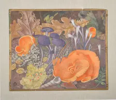 Funghi No by Maxwell Armfield, oil, sold Dec 2018