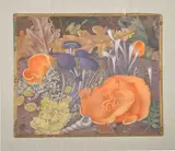 Funghi No by Maxwell Armfield, oil, sold Dec 2018