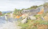 Sheep resting on a country path Watercolour heightened with white Signed and dated 1866 lower left 29.5 x 50cm (11½ x 19½ in.) by George Shalders, 1866, Watercolour heightened with white, sold Dec 2018