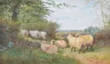 An afternoon graze Watercolour heightened with white Signed and dated 65 lower right 27 x 46.5cm (10½ x 18¼ in.) by George Shalders, Watercolour heightened with white, offered Dec 2018