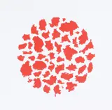 Untitled by P. Neicho, Screenprint in colours, sold Nov 2018