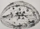 Motivi 10Etching and aquatint by Mario Merz, Etching and aquatint, sold Nov 2018