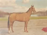 A Bay horse with a white sock Oil by F. M. Hollams, Oil on canvas, offered Jul 2018