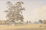 View near Whiteleaf Cross, Bucks Watercolour 21 x 32.5cm (8¼ x 12¾ in.) Provenance: Frank T by William Turner of Oxford, Watercolour, offered Jul 2018