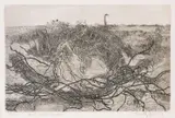 Heath with Juniper Etching Signed in by Anthony Gross, Etching, sold Jul 2018