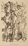 Christmas Card for 1929 Etching Signed in by Robin Tanner, Etching, offered Jul 2018