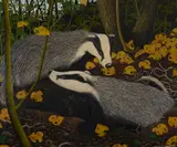 Badgers emerge Oil by Anthony Veale, Oil on canvas, sold Feb 2018