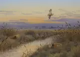 Fenland landscape with pheasant and barn owl by Richard Robjent, watercolour and gouache on paper, sold Jun 2021