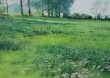 Meadow with trees by Richard Thorn, watercolour, sold Jun 2021