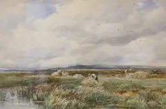 Rush Gathering, Arthog Moor by David Bates, watercolour, sold May 2021
