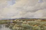 Rush Gathering, Arthog Moor by David Bates, watercolour, sold May 2021