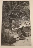 Wolf and dead cavalryman, 32 x 20cm, unframed by Max Klinger, etching, sold May 2021