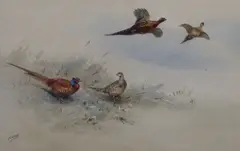Common Pheasants'' signed 24 x 35.5cm by George Edward Lodge, watercolour and bodycolour, sold Apr 2021