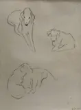Dog studies 1925, The Scottish Gallery label verso, 21 x 16cm by Helen Monro Turner, pencil on paper, sold Mar 2021