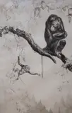 No Monkeying by Leonard Robert Brightwell, etching, sold Mar 2021