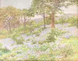 Bluebells in the Ruffler by Arthur Foord Hughes, watercolour, offered Mar 2021