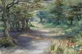 A Deer in Epping Forest by Walter Taylor, 1913, watercolour, sold Mar 2021