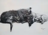 Wash and bodycolour on ivorineThe Floppers ' by Cecil Charles Windsor Aldin, ink, sold Dec 2020