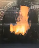 Dog in a fire place by William Wegman, 1988, print (other), offered Nov 2020