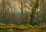 British, Trees in a winter wood with moss on the ground by Frederick Golden Short, oil on board, sold May 2022