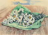 British, A bouquet of daisies by Stuart Maxwell Armfield, watercolour, sold Apr 2022
