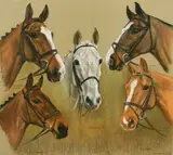 British, head studies of five horses by Mary Browning, 1994, pastel, sold Apr 2022