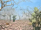Cactus and other trees in a desert with birds and an Iguana by George Tincu, oil on canvas, offered Mar 2022