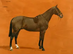 Bean' a study of a horse by F. M. Hollams, oil on panel, sold Feb 2022
