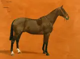 Bean' a study of a horse by F. M. Hollams, oil on panel, sold Feb 2022