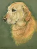 Fudge by Marjorie Cox, pastel, sold Feb 2022