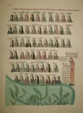 coll'n of h-col'd engravings after C. Engelhardt, 20 x 16 inches, [S], u/f. (7). by Medieval Imagery, print (other), offered Dec 2021