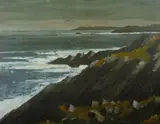 Porth Llechog by Wilf Roberts coloured limited edition, print, sold Nov 2015