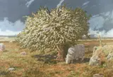 Print - sheep grazing by a blossom tree by David Tress coloured limited edition, print, sold Nov 2015