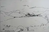 Bernard Jacobsen Gallery label verso entitled 'Loch Ness III by Barry Flanagan limited edition, etching, offered Feb 2015