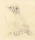 Owl by Winifred Knights, 1954, pencil on paper, sold Oct 2015