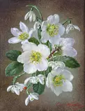 Winter - Hellebores and Snowdrops Signed Oil by Cecil Kennedy, Oil on canvas, sold Jun 2015
