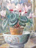 Still life of Cyclamen in a Chinese bowl Signed, also signed and inscribed The Cyclamen verso Oil on board 40.5 x 30.5cm; 16 x 12in ++Good condition by Nora Lucy Mowbray Cundell, Oil on board, offered Jun 2015