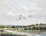 Canada geese in summer, Gloucester Signed Oil on board 40.5 x 50.5 ++Good condition by Ian Houston, Oil on board, sold Jun 2015