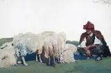 A Turkish shepherd and his flock Signed Oil on paper by Erich Wolfsfeld, Oil on paper, mounted, unframed, sold Jun 2015