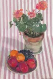 The stripey pink cloth Signed Oil on canvas laid on board 46 x 32cm ++Good condition by Martin MacKeown, Oil on canvas laid on board, sold Jun 2015