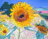 Sunflowers and butterfly Signed Oil on canvas 50.5 x 61cm ++Good condition by Frederick Gore, Oil on canvas, sold Jun 2015