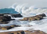 Untitled by Kim Donaldson, Pastel on buff paper, offered Jun 2015