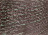 Night Sea Signed, titled, dated 62 and numbered 43/50 Etching 29.5 x 39.5cm ++One or two small scuffs or printing marks, good condition by Stanley William Hayter Hon., Etching, sold Jun 2015