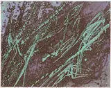 Poissons Volants Signed, titled, dated 58 and numbered 44/50 Etching 29.5 x 37cm ++Good condition by Stanley William Hayter Hon., Etching, offered Jun 2015