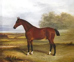 Saucy Boy, a hunter in a landscape Signed and dated 1878 Oil on canvas 51 x 61cm; 20 x 24in ++Unlined, repaired, restored retouched by Albert Clark, 1878, Oil on canvas, sold Mar 2015
