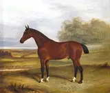 Saucy Boy, a hunter in a landscape Signed and dated 1878 Oil on canvas 51 x 61cm; 20 x 24in ++Unlined, repaired, restored retouched by Albert Clark, 1878, Oil on canvas, sold Mar 2015